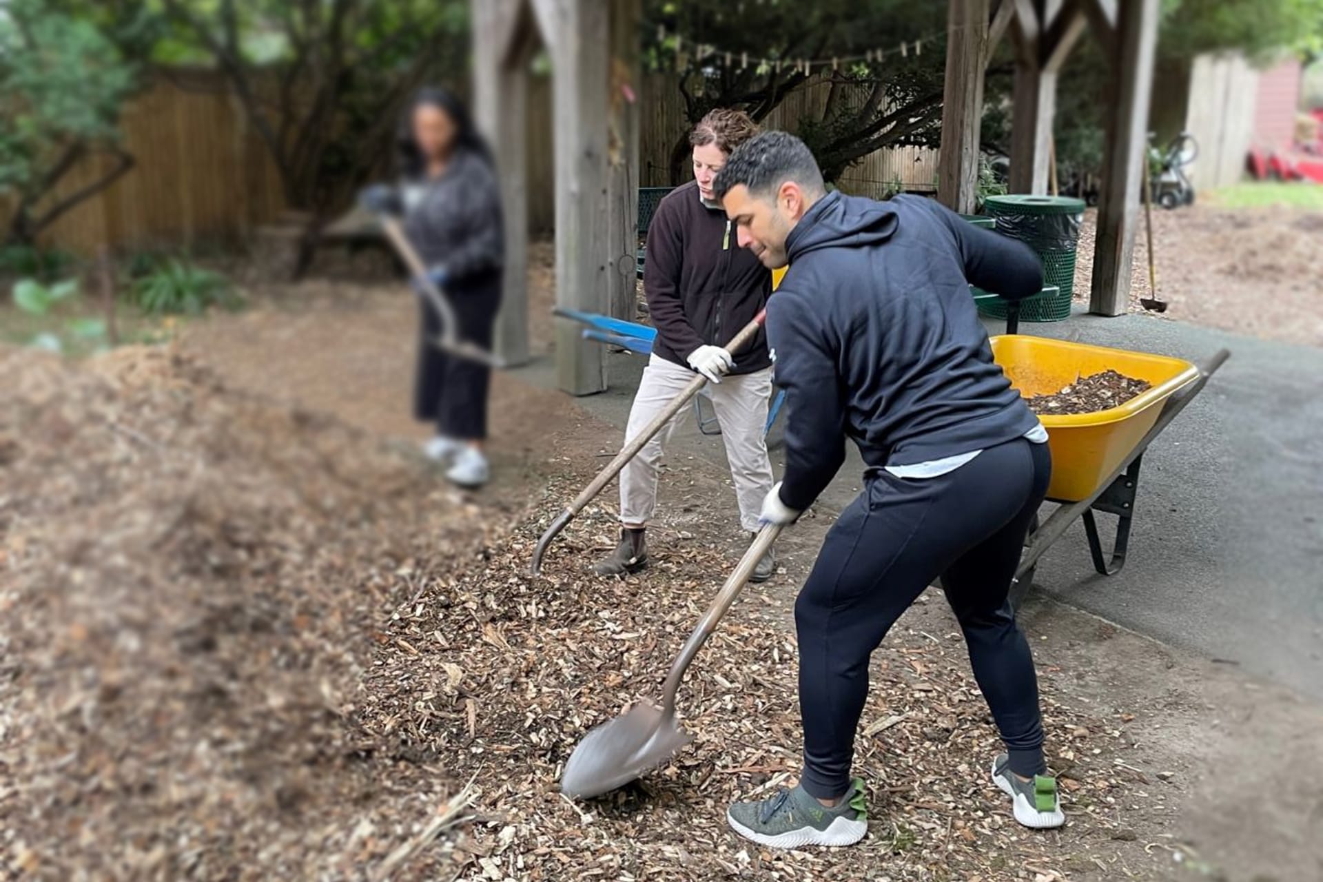 Volunteering at the Brooklyn Botanic Gardens